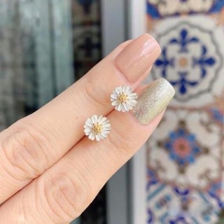 bông tai cúc họa mi , chốt chắc chắn , bạc chuẩn sáng - jena sliver