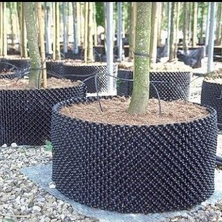 5m Bầu ươm cây V6 cao 30cm tặng ốc vít