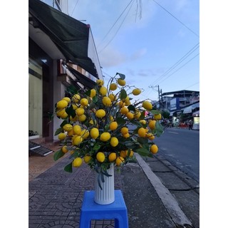 Cành quả chanh 7 quả to cao cấp loại 1- Cành quả giả