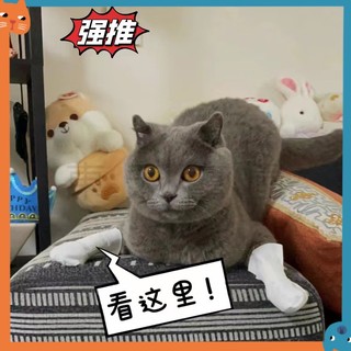 Thú Cưng Dùng Một Lần Chân Có Bán Chạy Tất Thú Cưng Dùng Một Lần Giày Thú Cưng Chống Bụi Bẩn Bảo Vệ Chó Giày Ngoài Trời Có Thú Cưng Miễn Phí Chân Rửa