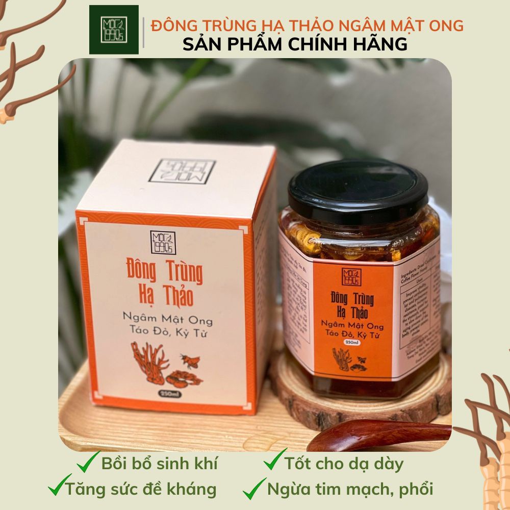 Đông Trùng Hạ Thảo ngâm Mật Ong Atiso Đỏ, Táo Đỏ, Kỷ Tử  Mộc 1990s - Tốt cho Ngũ Tạng, dạ dày
