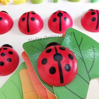 Đồ Chơi Dạy Học Tiếng Anh Bằng Gỗ 1-10 Màu Sắc Hình Bọ Rùa / Chữ Cái Tiếng Anh Vui Nhộn Giáo Dục Sớm Cho Bé