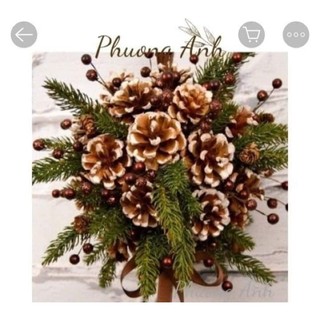 SỈ 1kg QUẢ THÔNG KHÔ DÙNG ĐỂ TRANG TRÍ NOEL