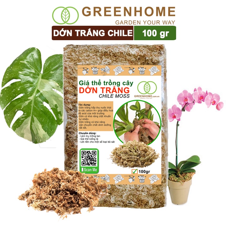 Giá thể dớn trắng Greenhome, gói 100gr, đã qua xử lý, giữ ẩm tốt, kháng khuẩn tự nhiên, trồng lan, kiểng lá