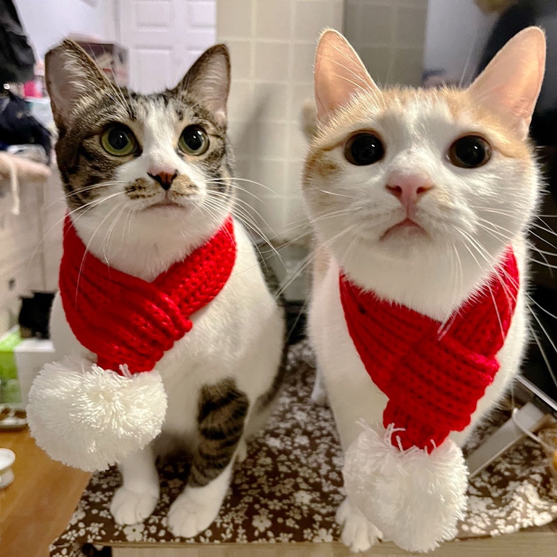 HamshMoc Mềm Thú Cưng Khăn Giáng Sinh Dệt Kim Chó Santa Khăn Có Pompon Trang Phục Thú Cưng Dễ Thương Ông Già Noel Trang Phục Cho Chó Nhỏ Mèo Con Đồ Dùng Giáng Sinh