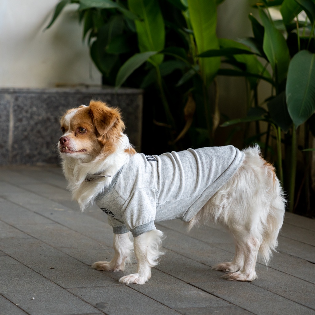 Ảnh Áo cho chó Pawy Classic Xám - Classic Dog T-shirt Grey 2