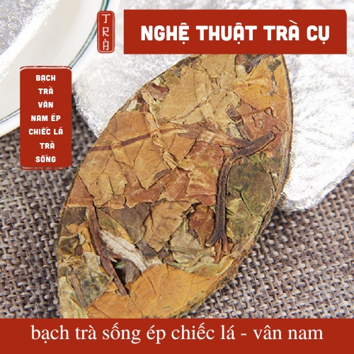 Trà trắng  ép hình chiếc lá của vùng Vân nam lên men sống