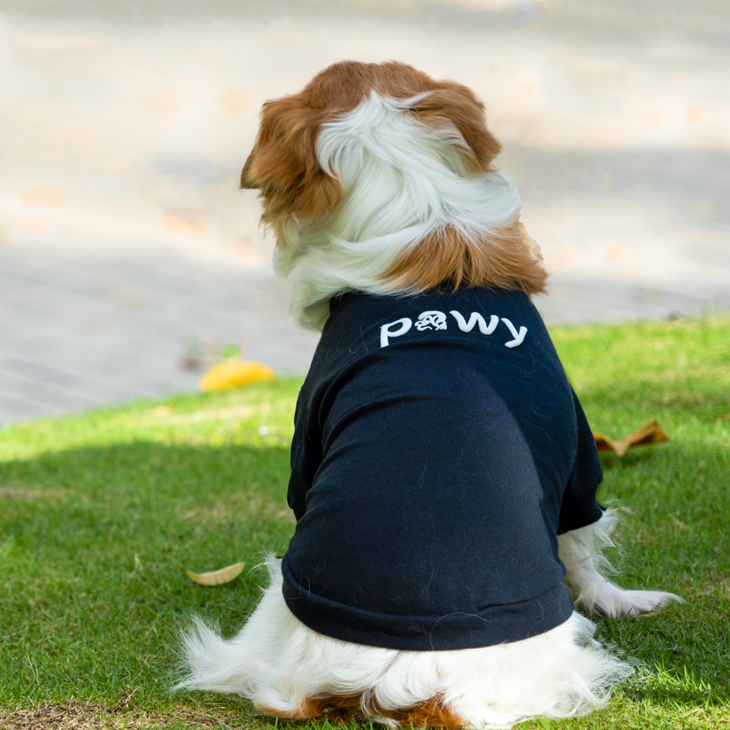 Ảnh Áo cho chó Pawy Classic Đen - Classic Dog T-shirt Black 2