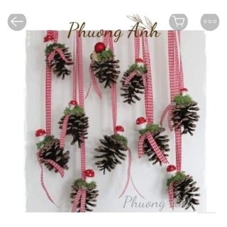 SỈ 1kg QUẢ THÔNG KHÔ DÙNG ĐỂ TRANG TRÍ NOEL