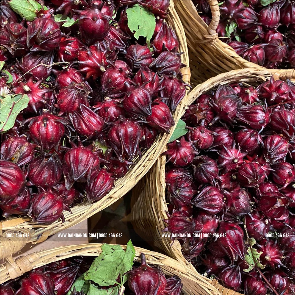 TRÀ HOA HIBISCUS - atiso đỏ - thức dưỡng an lành farm trồng tự nhiên- đóng hộp 100g