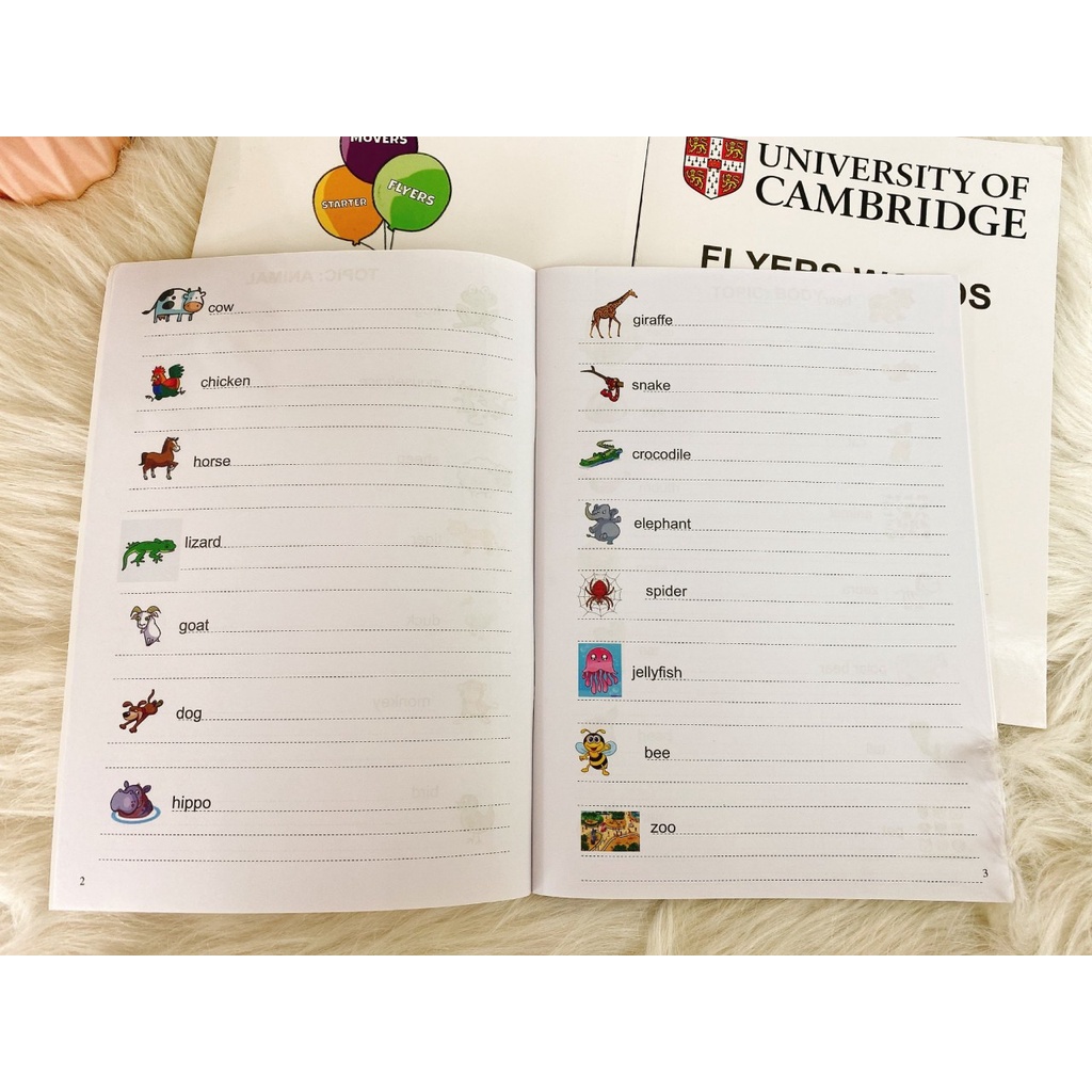 Ảnh Vở luyện viết tiếng anh theo cambridge ( starter,mover,flyer) 1