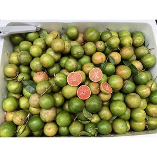 1kg Chanh Đào Tươi Hoà Bình ( Chanh cuối mùa)