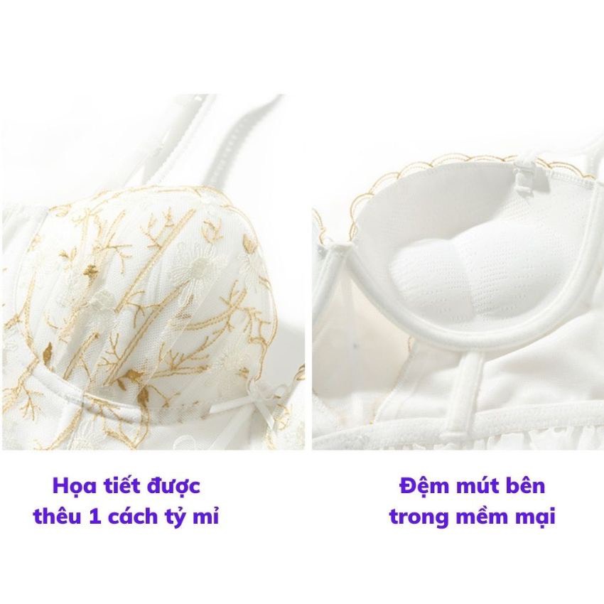 Áo ngực ren Cao Cấp đính nơ gợi cảm sexy, áo lót nữ có gọng đệm mút nâng ngực tạo khe quyến rũ 436