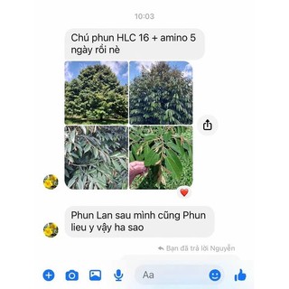 Phân bón sinh học Amino, dinh dưỡng tổng hợp  giúp cây khoẻ, xanh lá, mập chồi, nhú đọt chai 500ml