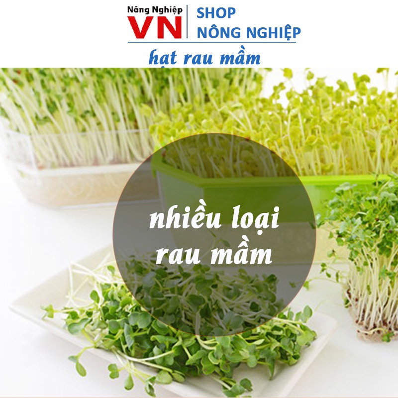 Các loại rau mầm dễ trồng, ăn ngon, nhanh thu hoạch, hạt giống chất ...