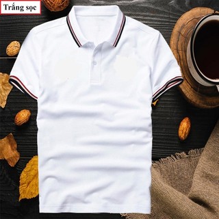 Mẫu Áo Cá Sấu Mè Thể Thao – 4 chiều