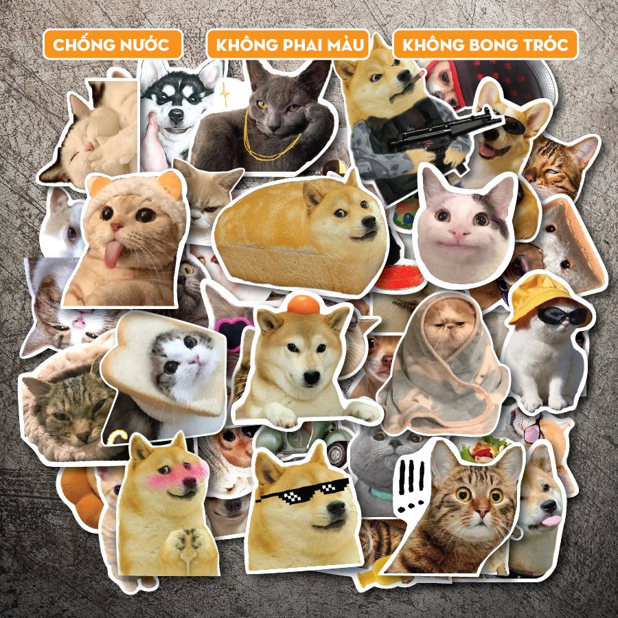 Combo Sticker Meme Dog chống nước sticker dán laptop, điện thoại, đàn ...