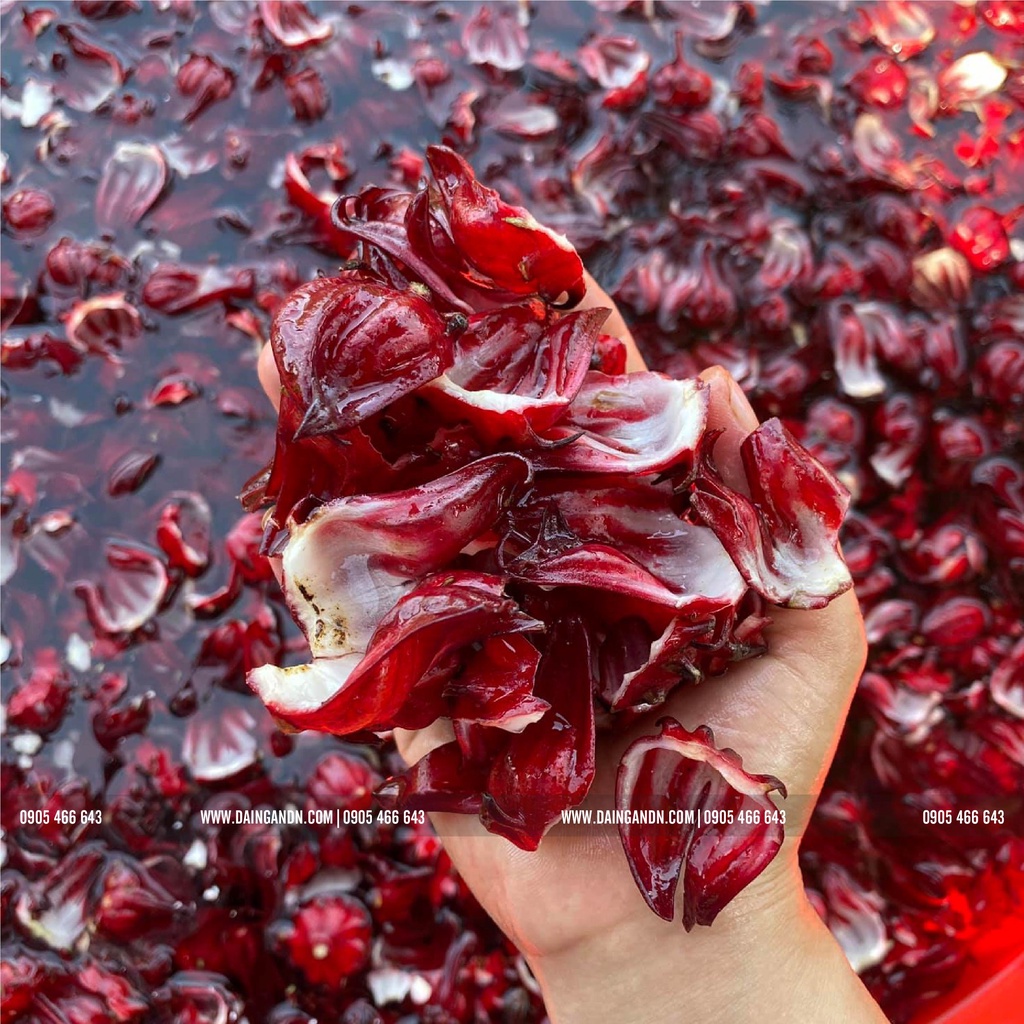 TRÀ HOA HIBISCUS - atiso đỏ - thức dưỡng an lành farm trồng tự nhiên- đóng hộp 100g