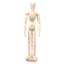 Nghệ sĩ bằng gỗ thanh lịch Mannequin Unisex Mô hình con người cho các dự án phác thảo và thiết kế