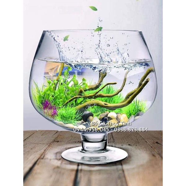 Bể cá thủy tinh dáng chiếc ly ( 1,2 lít/ 2,5 lít ) | Shopee Việt Nam