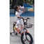 Xe Đạp Gấp Thể Thao Phoenix Đủ Size16,18inh