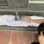 Cây lau nhà tấm lau cottong 90cm hàng công ty Bodoca