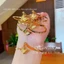 Vòng tay titan nữ không gỉ hình bướm phun cát lấp lánh thời trang sang trọng