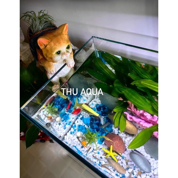 Trang trí bể cá mèo balo đa năng