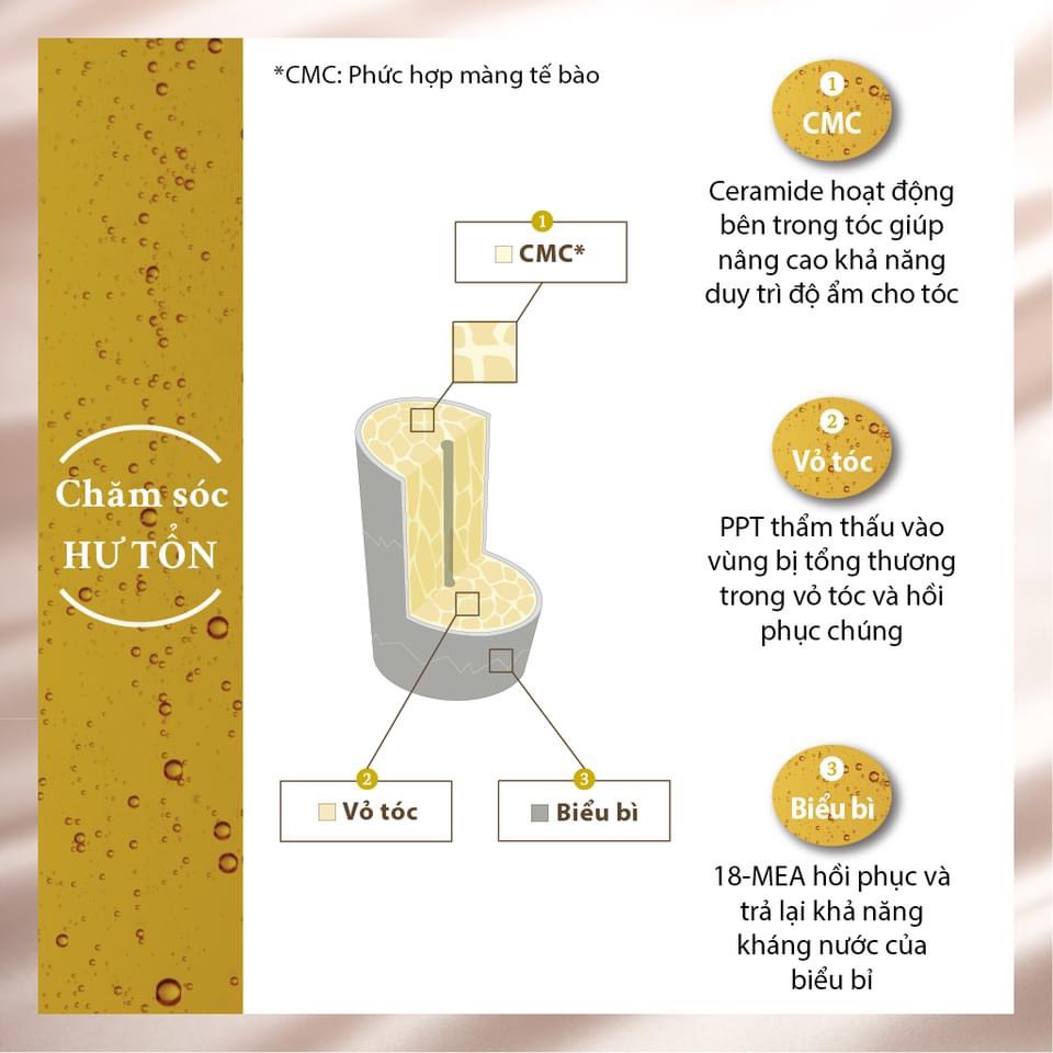 Dầu gội phục hồi tóc 003 Number three Murie Gold F 250ml | Shopee Việt Nam