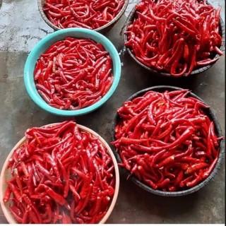 500GRAM ỚT BỘT ĐÂM BẰNG TAY SIÊU CAY - ĐẶC SẢN HUẾ