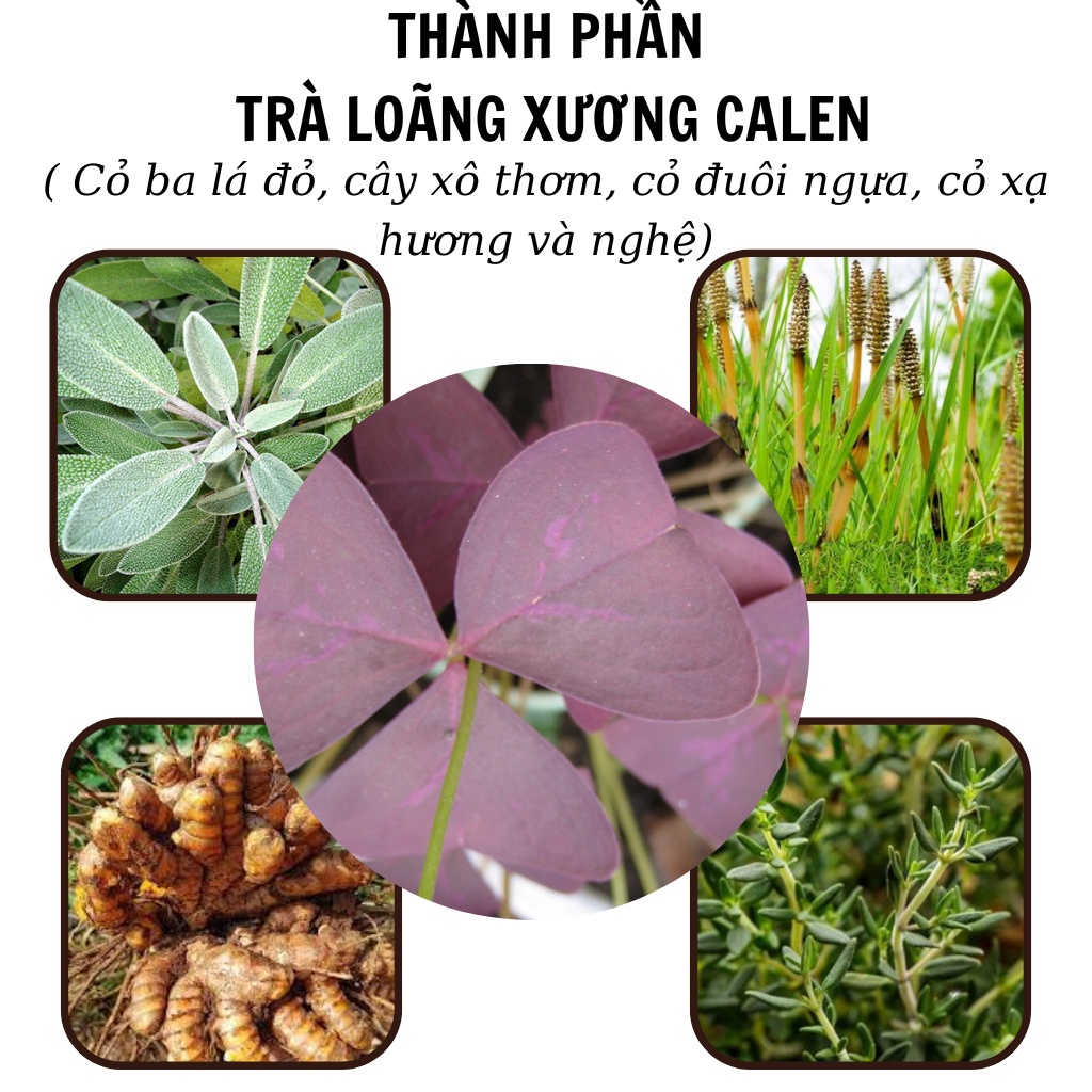 Trà Túi Lọc Hỗ Trợ người Loãng xương, Duy trì khả năng tái tạo xương, hạn chế nguy cơ gãy xương - CALEN NATURE FARM