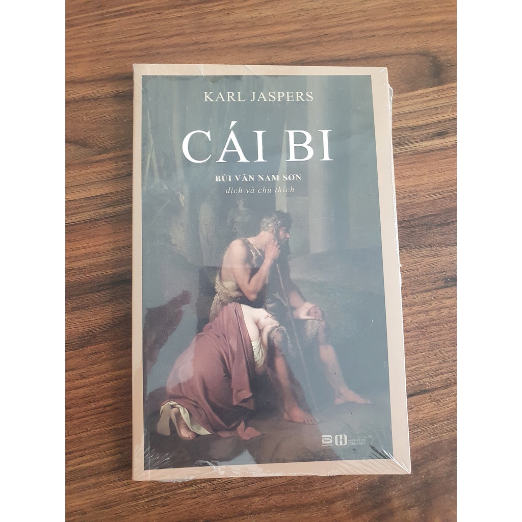 Ảnh Sách - Cái Bi (Tiểu Thuyết) 1