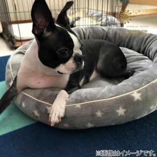 [DANDELION] Chuồng mèo NITORI Yildeli Hấp thụ độ ẩm Hấp thụ độ ẩm Mèo Litter Kennel Bốn mùa Thảm cho thú cưng Giường cho chó Thảm ngủ cho chó Thảm ngủ phổ thông bốn mùa
