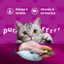 WHISKAS® 1.1kg, 1.2kg Thức ăn hạt có nhân cho mèo con và mèo trưởng thành