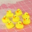 Set 5 con vịt con mini bóp kêu chít chít