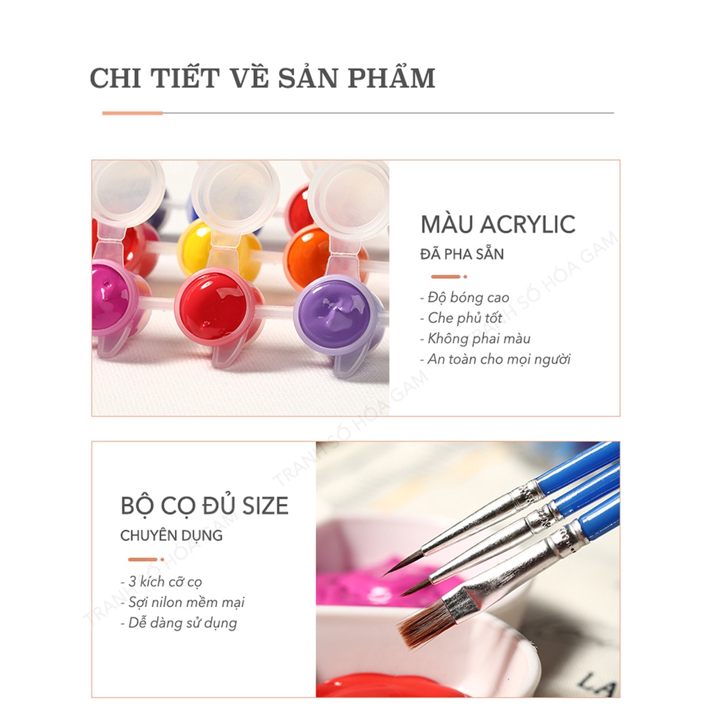 Ảnh Tranh số hoá tự tô màu theo số cho người lớn GAM thanh lý kèm khung đã căng tổng hợp mẫu 40x50cm 3