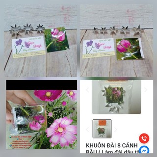 KHUÔN CẮT LÀM ĐÀI HOA 8 CÁNH , 5 cánh ,làm CÚC CÁNH LIỀN , ĐÀI DÂU TÂY