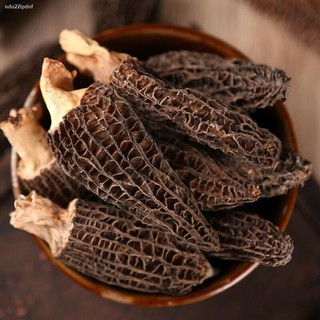 Nấm bụng dê 💎Nấm quý hiếm💎 (Morchella esculenta)