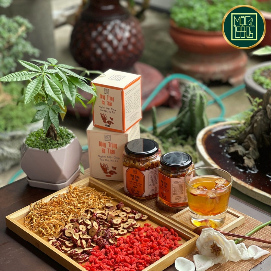 Đông Trùng Hạ Thảo ngâm Mật Ong Atiso Đỏ, Táo Đỏ, Kỷ Tử  Mộc 1990s - Tốt cho Ngũ Tạng, dạ dày