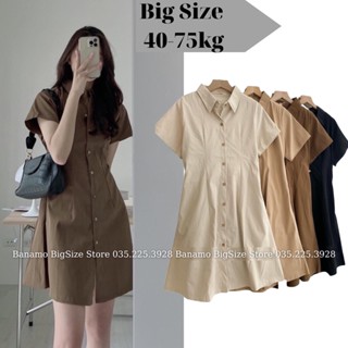 đầm sơ mi big size giá tốt Tháng 5, 2024 | Mua ngay | Shopee Việt Nam