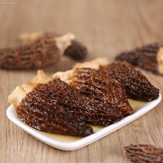 Nấm bụng dê 💎Nấm quý hiếm💎 (Morchella esculenta)