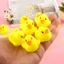 Set 5 con vịt con mini bóp kêu chít chít