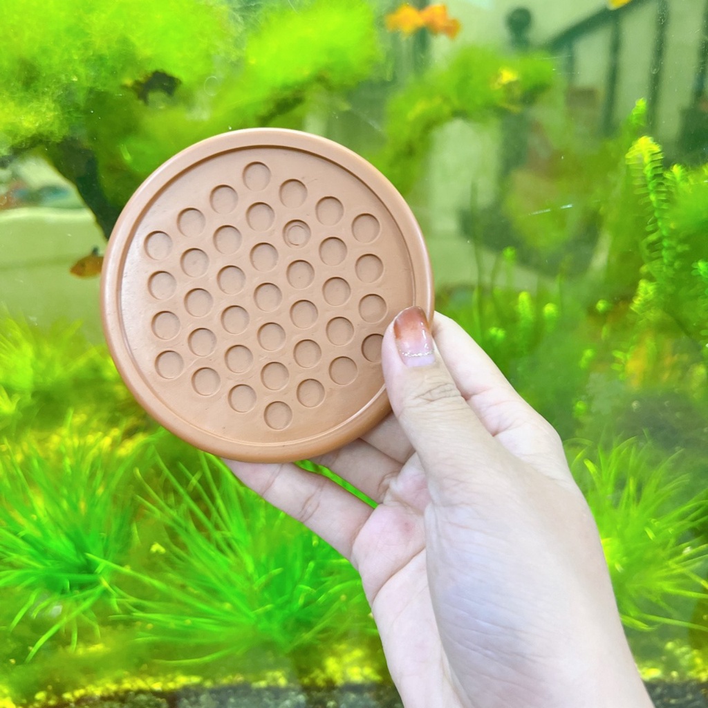 combo 10 dế Lót Ly Tổ Ông RICO Nhựa Dẻo - Nhựa TRÒN dẻo Cao Cấp 9cm