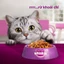 WHISKAS® 1.1kg, 1.2kg Thức ăn hạt có nhân cho mèo con và mèo trưởng thành