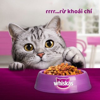 [Vị mới ] WHISKAS® 1.1kg, 1.2kg Thức ăn hạt có nhân cho mèo con và mèo trưởng thành