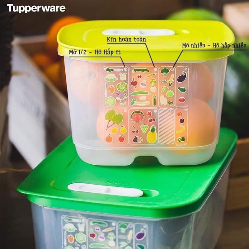 Combo 2 hộp trữ mát có nút hô hấp Tupperware Ventsmart 1.8L thấp - Bảo ...