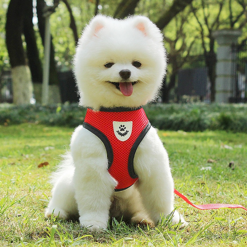 Dây đeo ngực cho chó dây xích chó con chó con thoáng khí trở lại