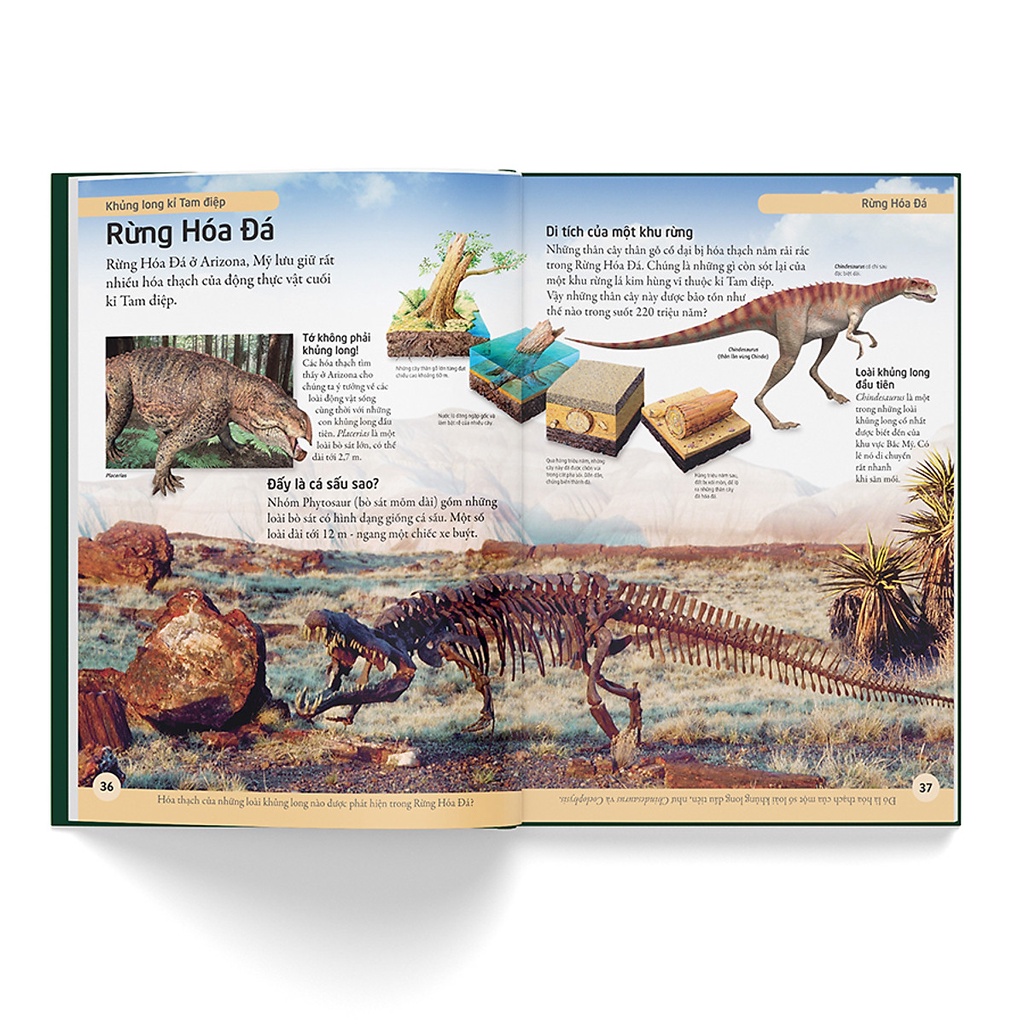 Ảnh Sách - Bách Khoa Cho Trẻ Em - Bách Khoa Khủng Long (Tái Bản) 4