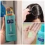 Dầu gội giảm gàu Lion Nhật Bản 320ml