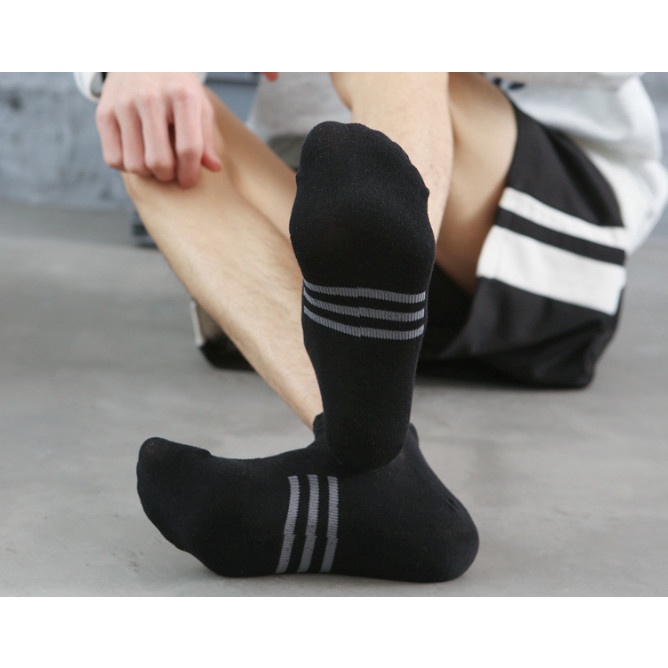 Vớ Tất cotton Nam cổ thấp 5 màu phong cách trẻ trung và năng động.